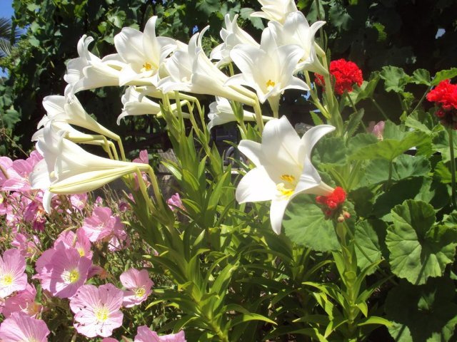 studios-stella-toroni-2018-013